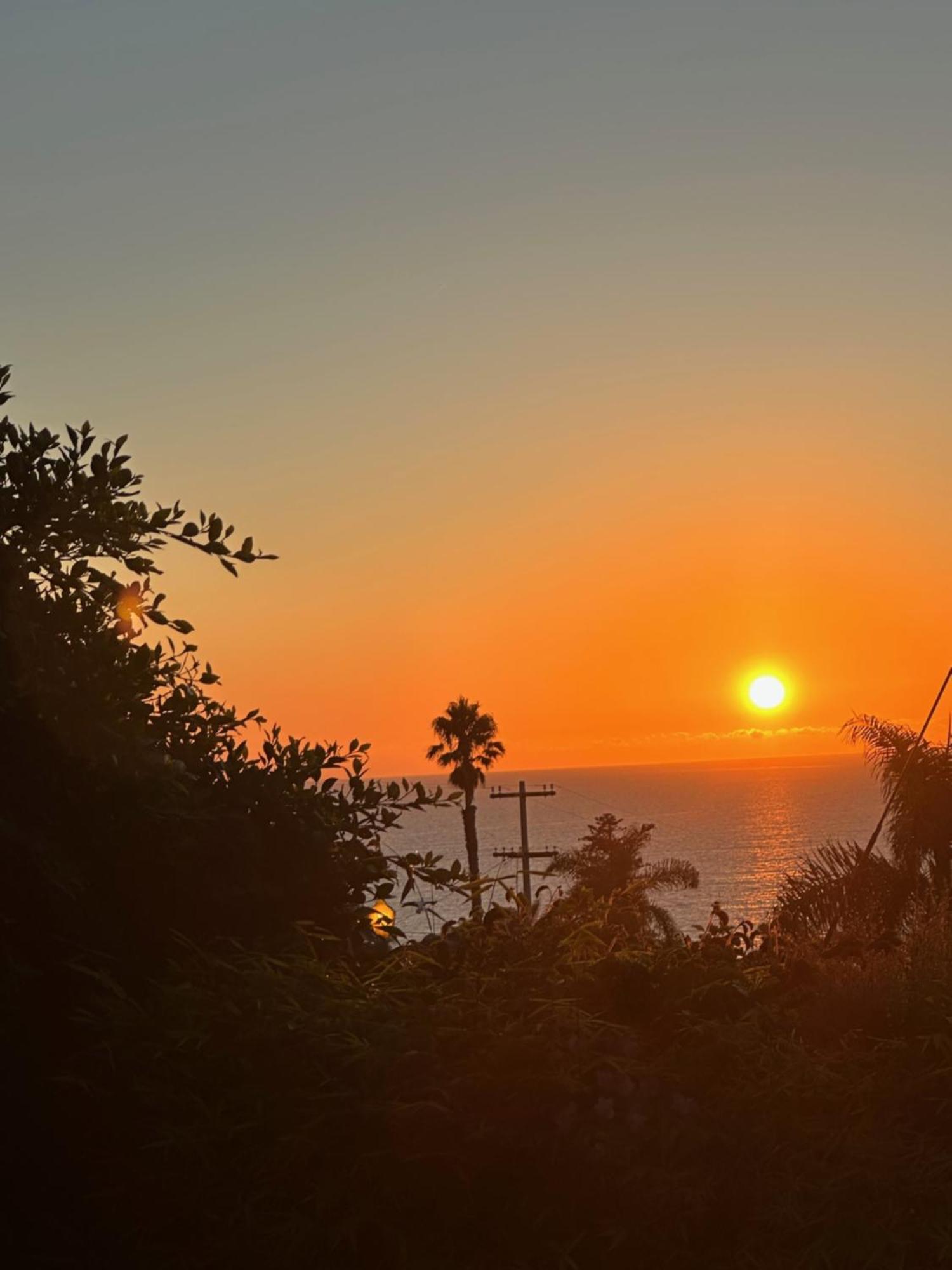 Contemporary Ocean Sunset Views With Firepit Pt Loma Close To Plnu サンディエゴ エクステリア 写真