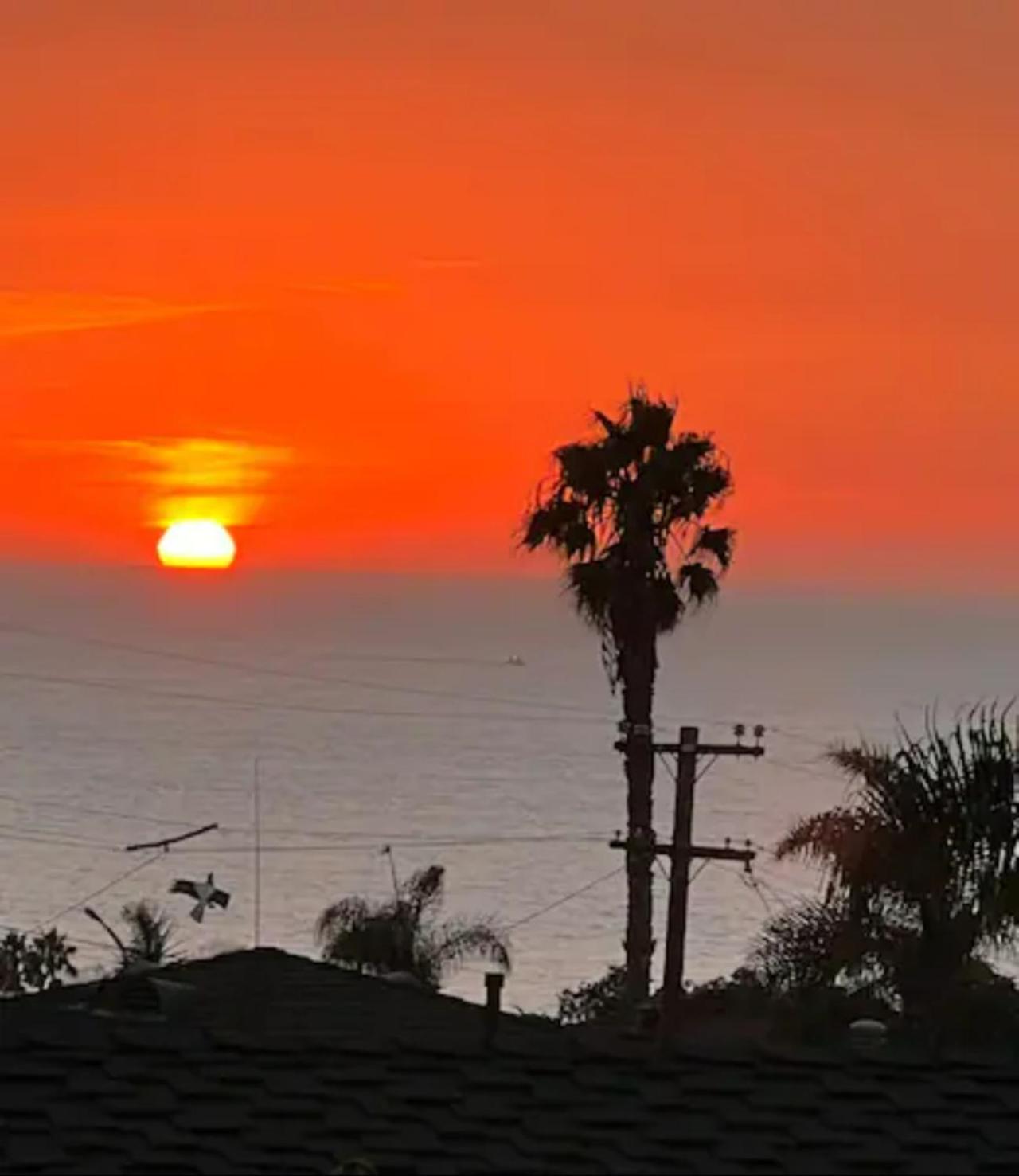 Contemporary Ocean Sunset Views With Firepit Pt Loma Close To Plnu サンディエゴ エクステリア 写真